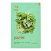 Holika Holika Pure Essence Mugwort Mask