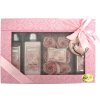 raphael rosalee perfect love rose no 16 darkova sada
