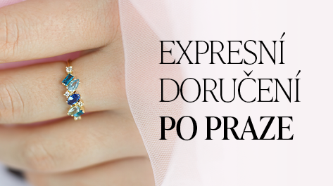 Expresní doručení kurýrem po Praze