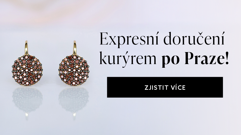 Expresní doručení kurýrem po Praze