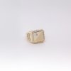 Exkluzivní zlatý prsten zdobený zirkony LLV01-GR002