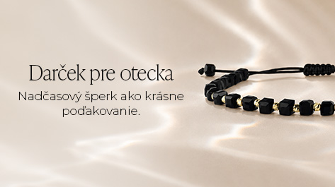 DEN OTCŮ