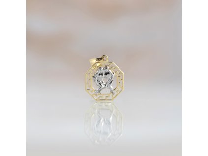 LLV86 GP001 Blíženci