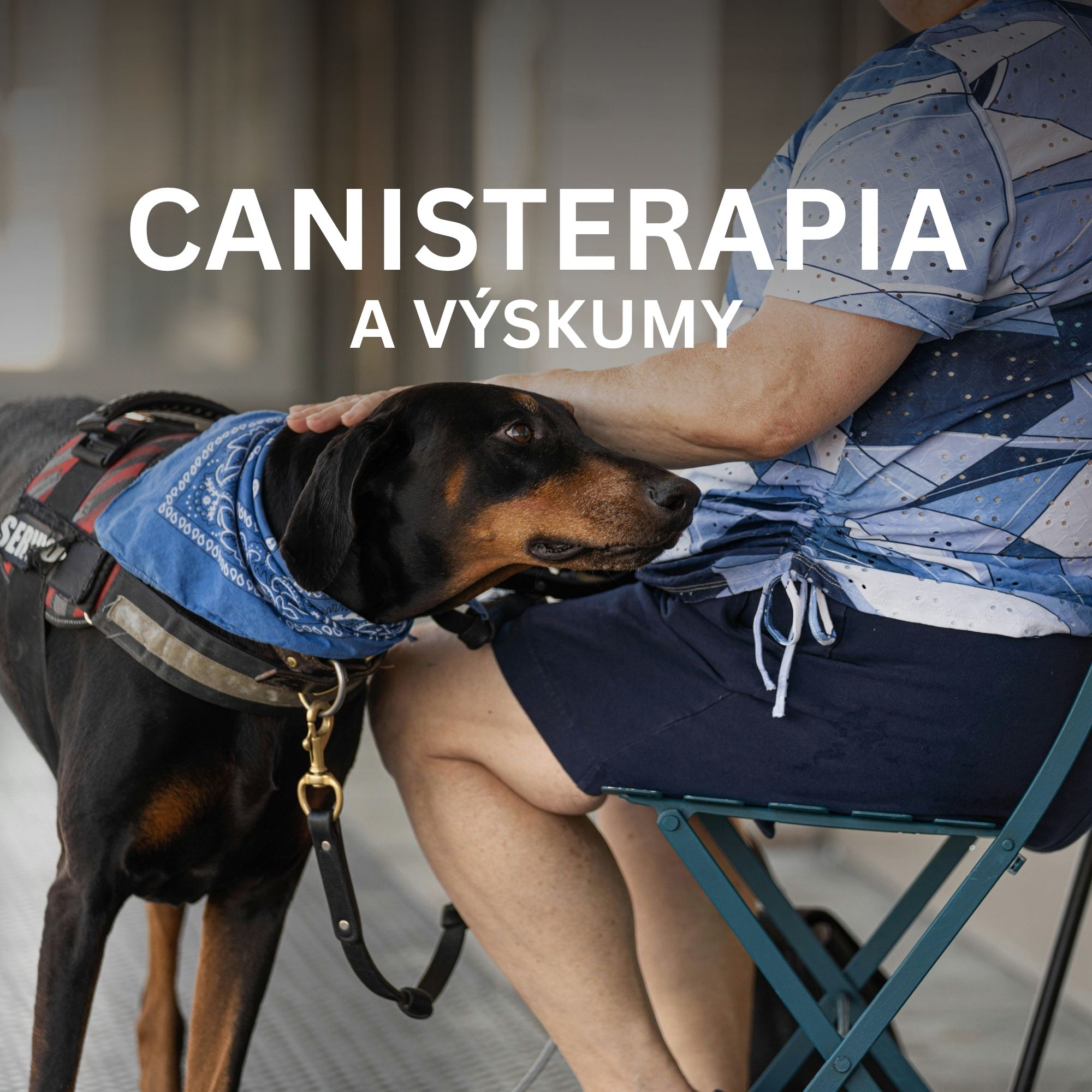 Canisterapia: ako pomáha pes v terapii a čo hovoria štúdie