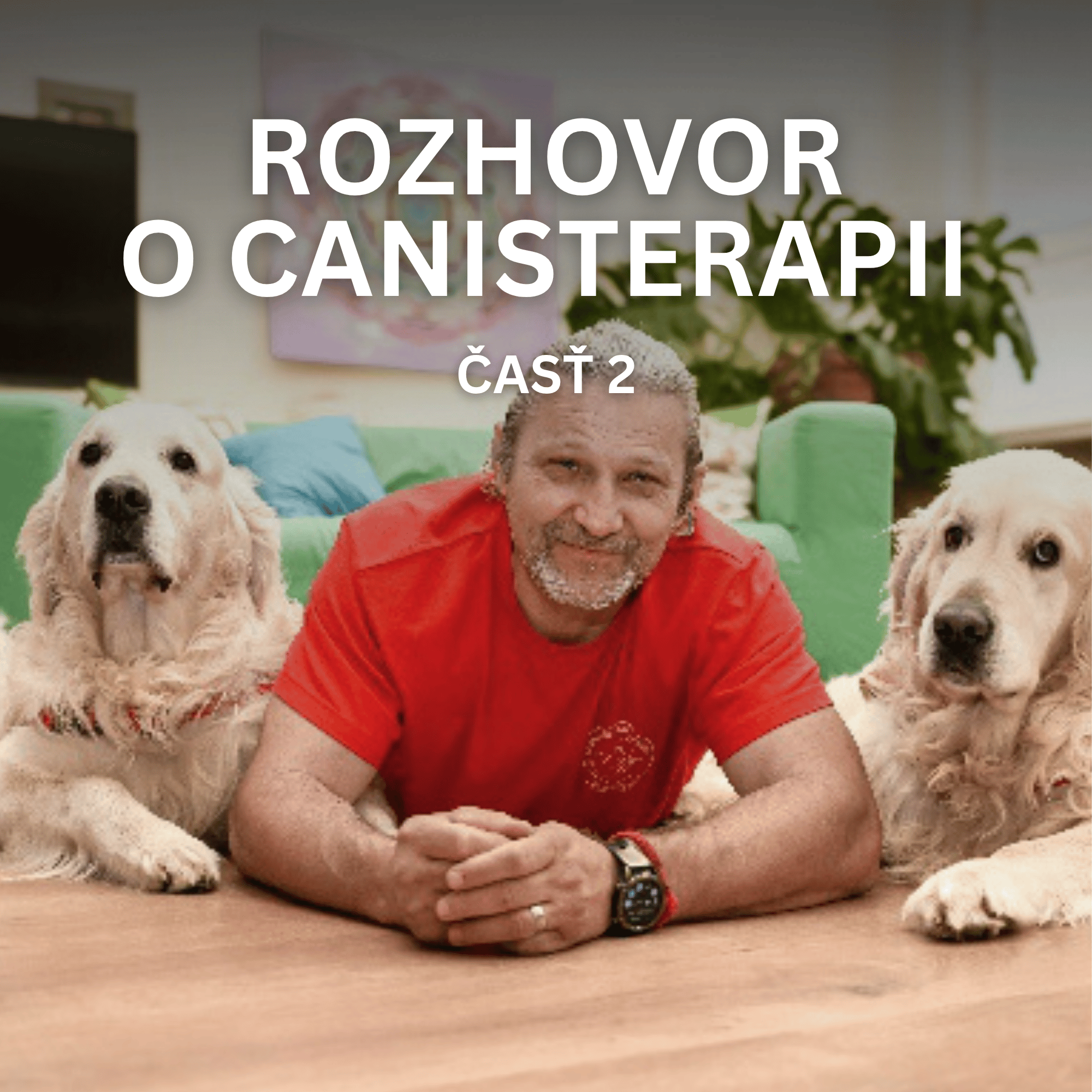 Canisterapia na Slovensku: Ako pomáha seniorom? Rozhovor s Miroslavom Sujom z Canisterapeutického združenia Slovensko (2. časť)