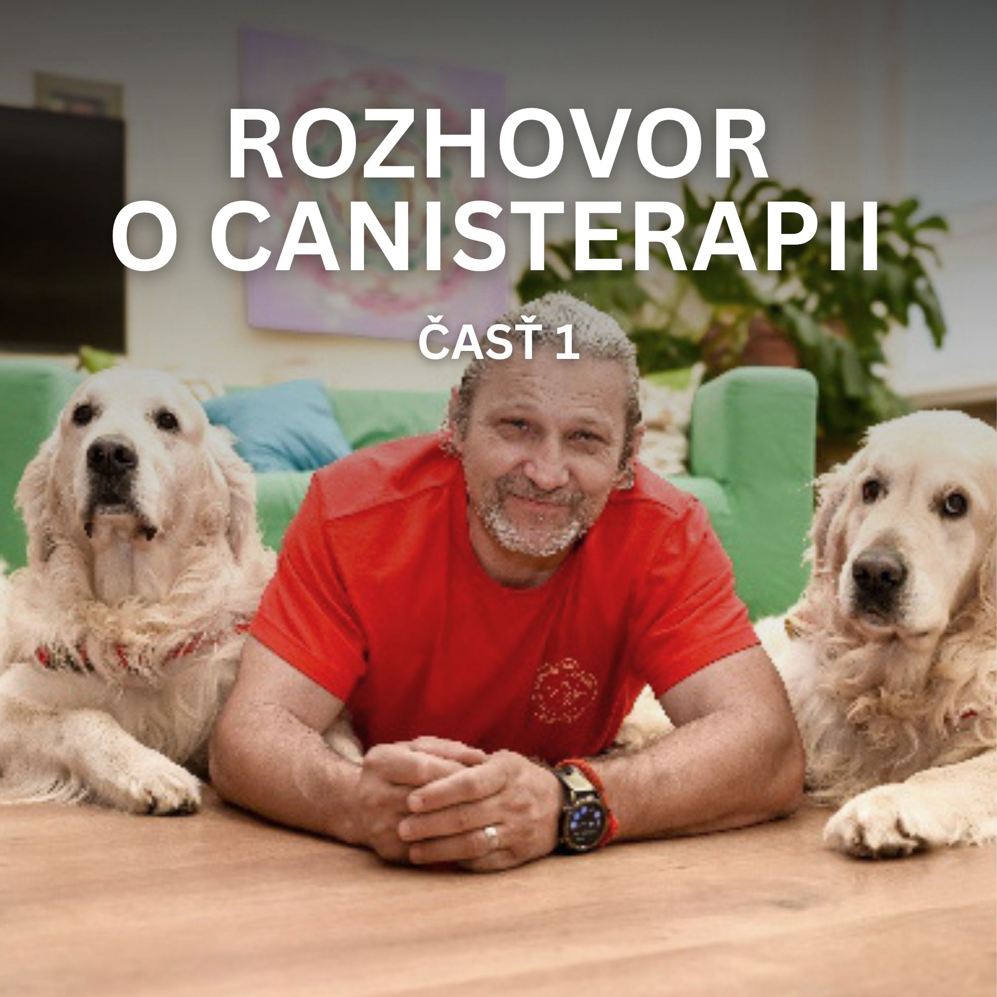 Canisterapia na Slovensku: Rozhovor s Miroslavom Sujom z Canisterapeutického združenia Slovensko
