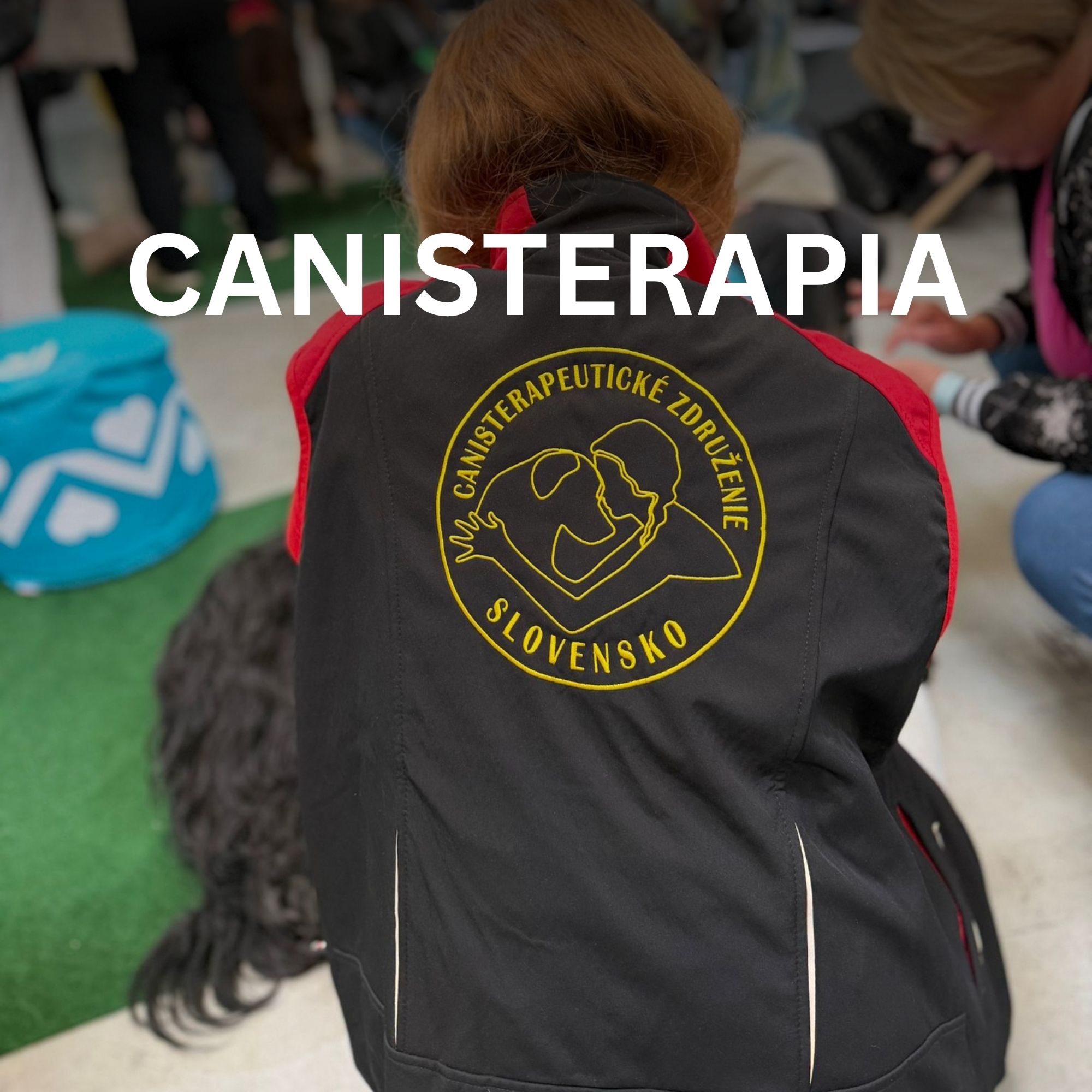 Slovenskí canisterapeuti: kto sú, kde pôsobia a ako pomáhajú ľuďom