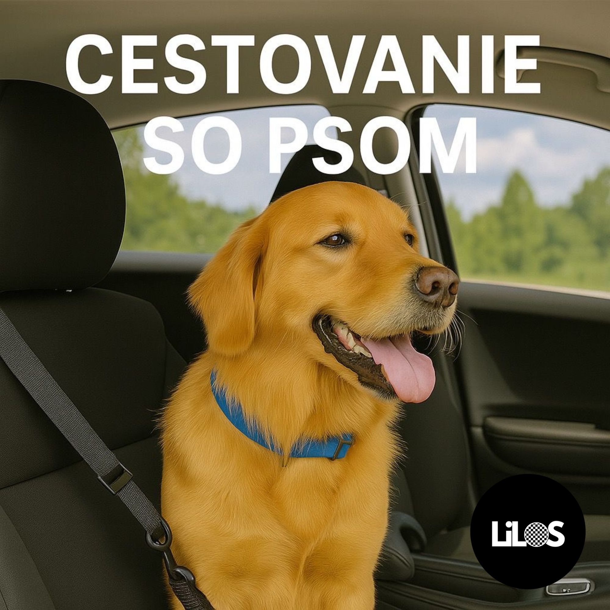 Cestovanie so psom: Praktický sprievodca pre bezpečné a pohodlné výlety