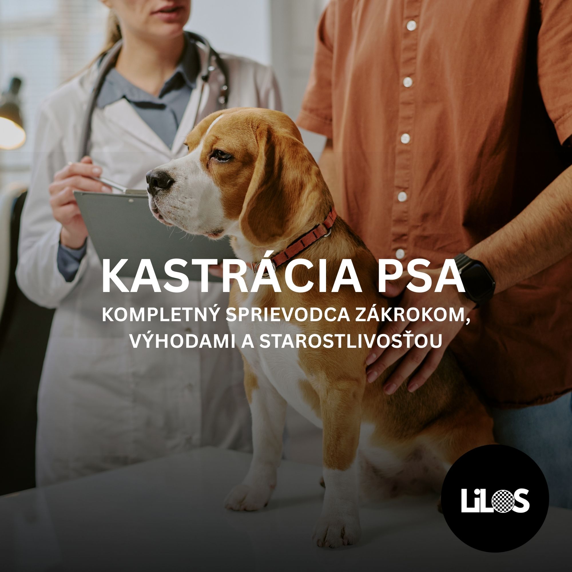 Kastrácia psa: Kompletný sprievodca zákrokom, výhodami a starostlivosťou