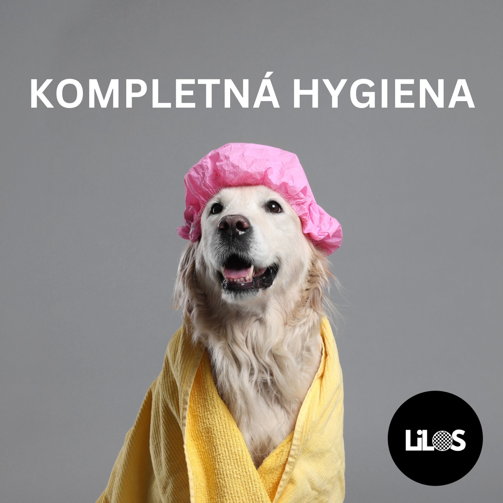 Kompletná hygiena psa od hlavy po chvost: Starostlivosť, ktorá sa naozaj vypláca