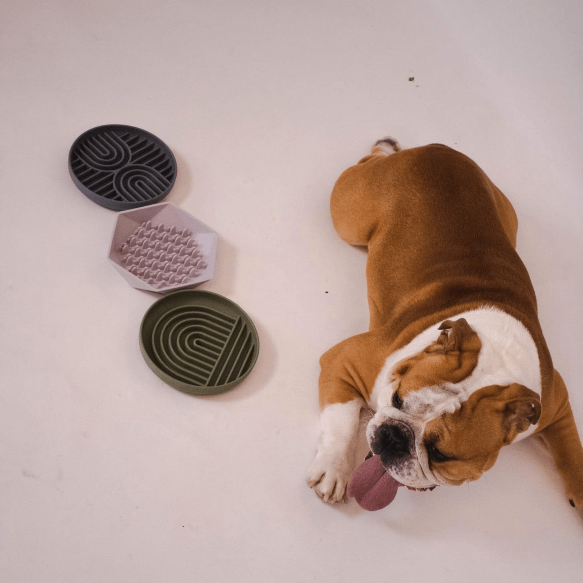 Interaktívne misky proti hltaniu – zdravšie a efektívnejšie kŕmenie vášho psa