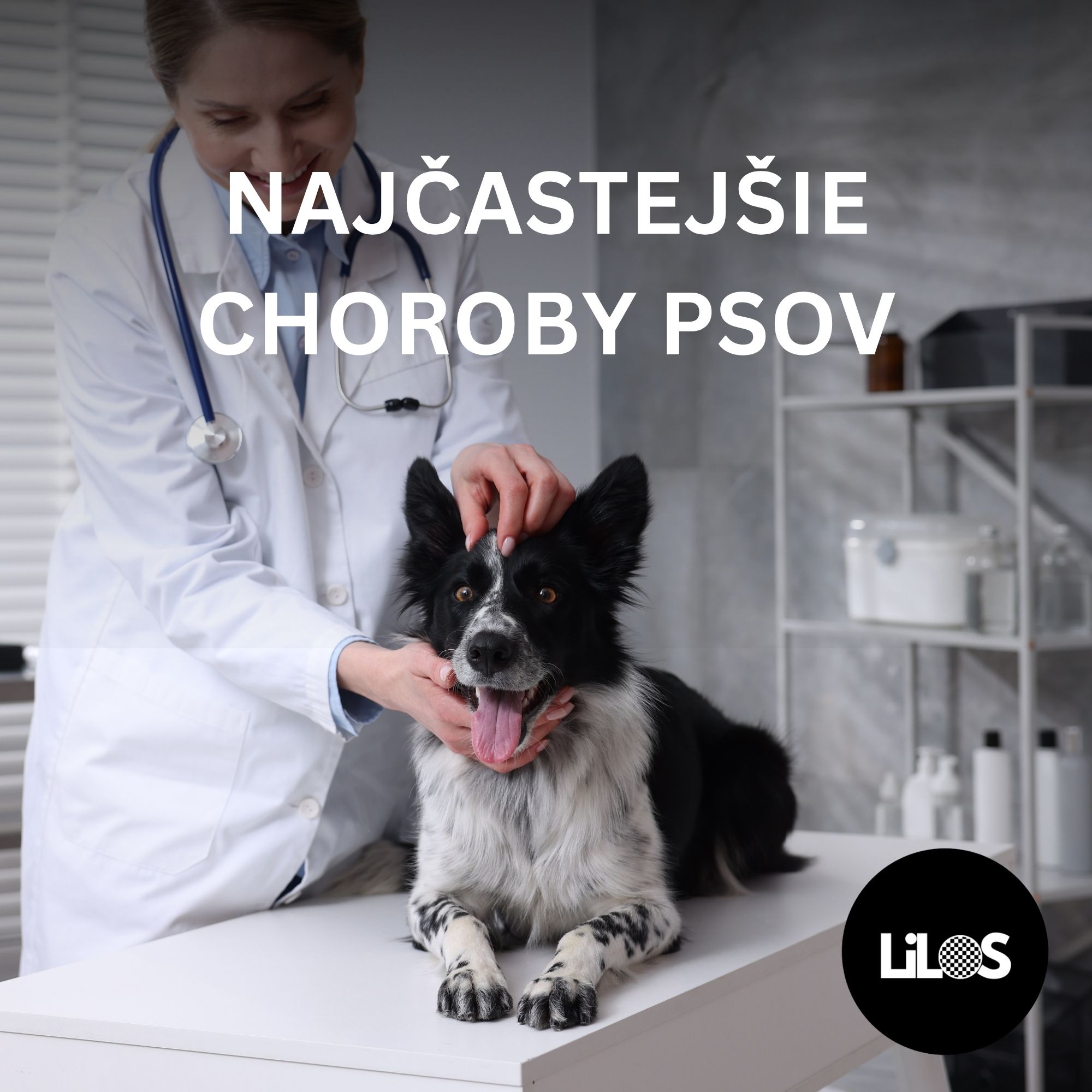 Najčastejšie choroby psov: Ako ich rozpoznať a ako im predchádzať