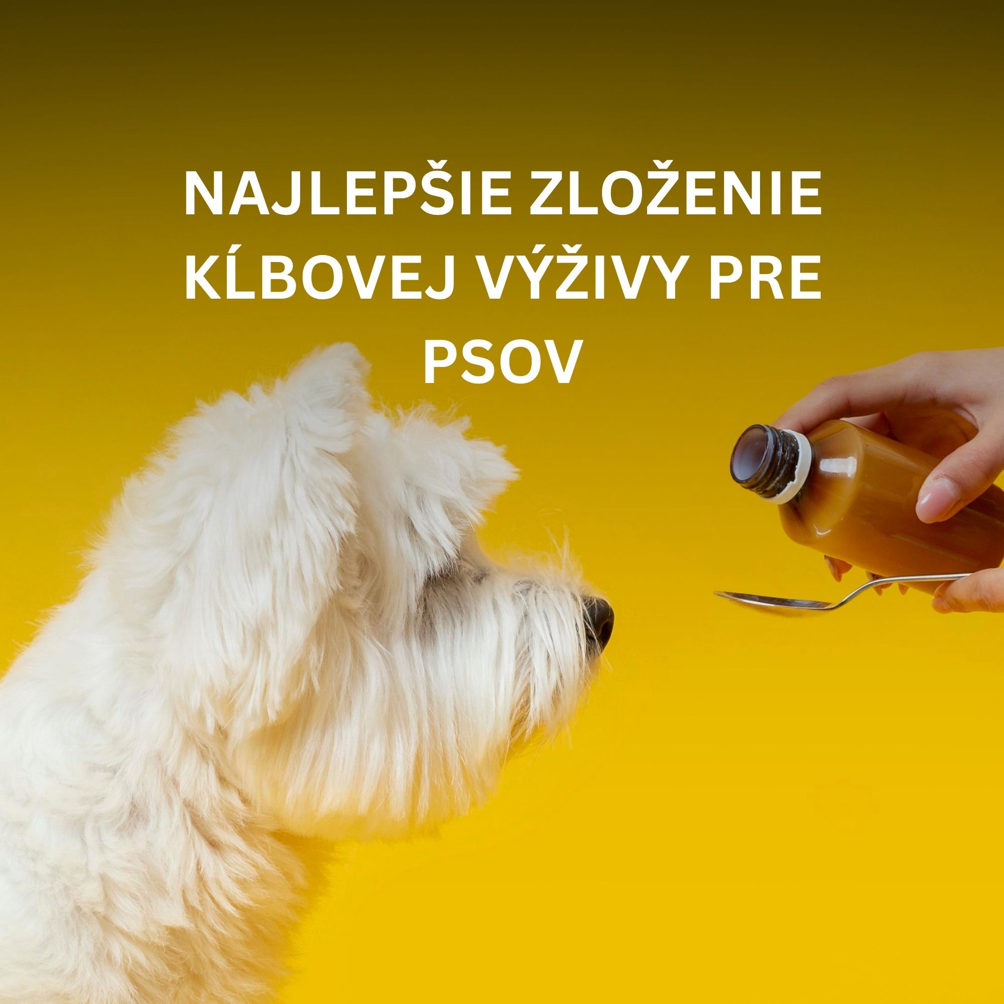 Veľké porovnanie kĺbovej výživy pre psov:  3 TOP zloženia a 3, ktorým sa radšej vyhnúť