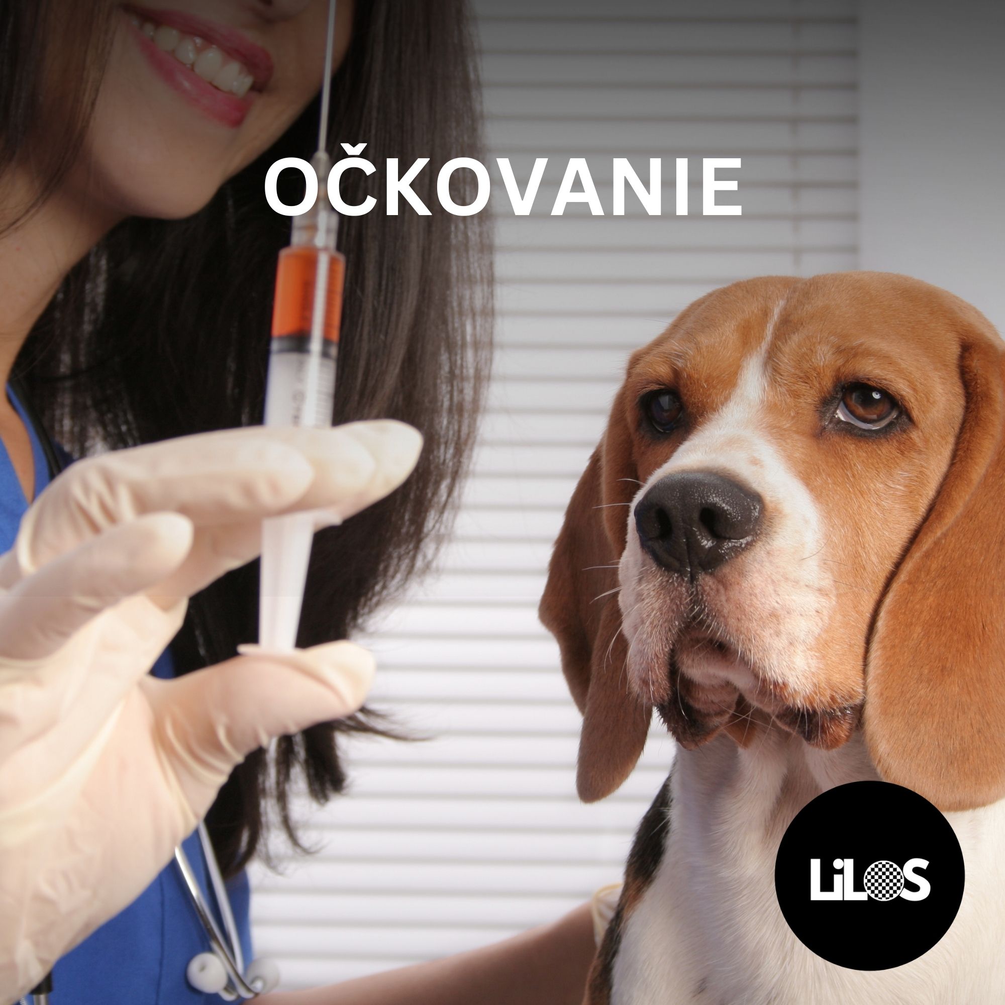 Očkovanie psa: cena, povinnosti a najčastejšie otázky
