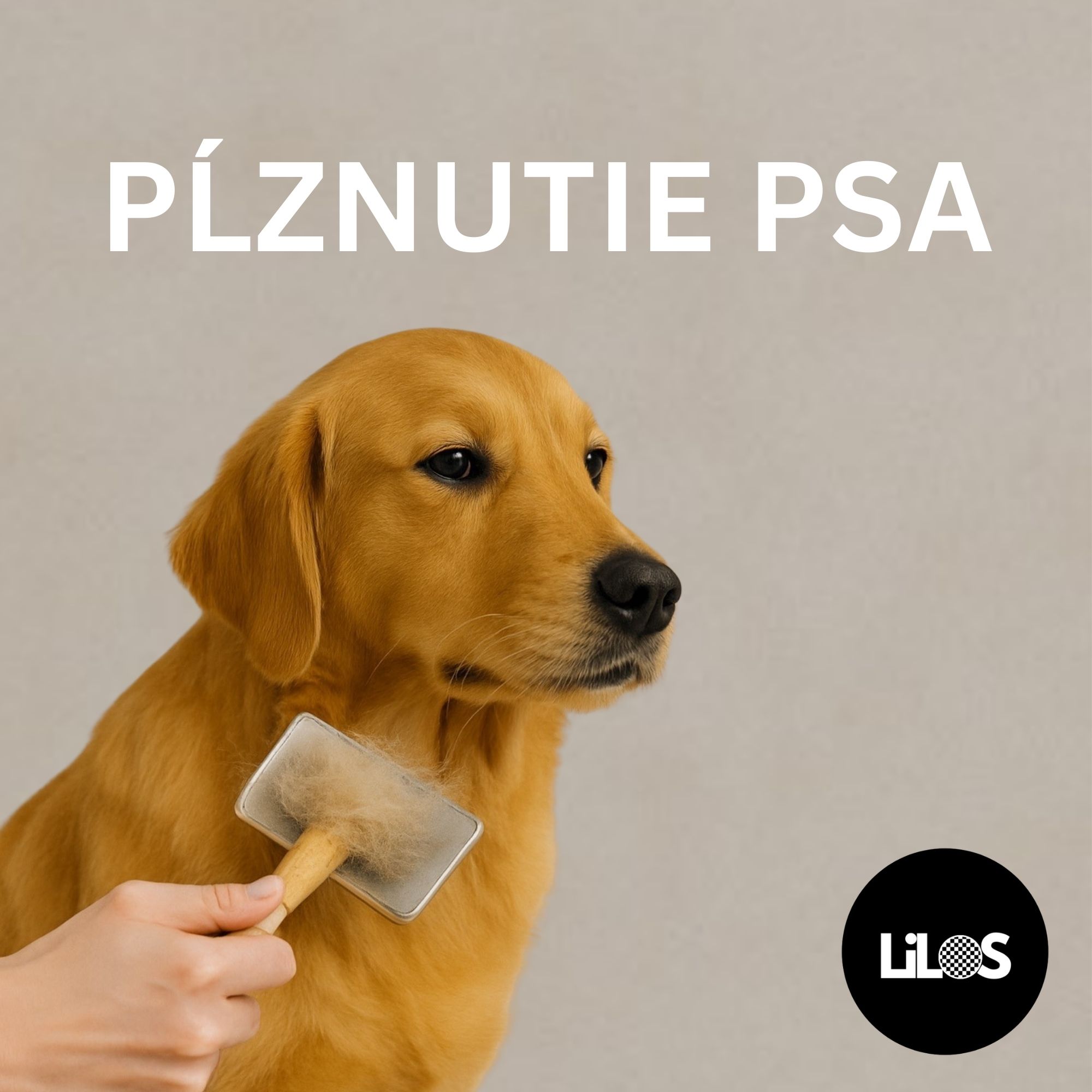 Pĺznutie psa: Príčiny, starostlivosť a čo je ešte normálne