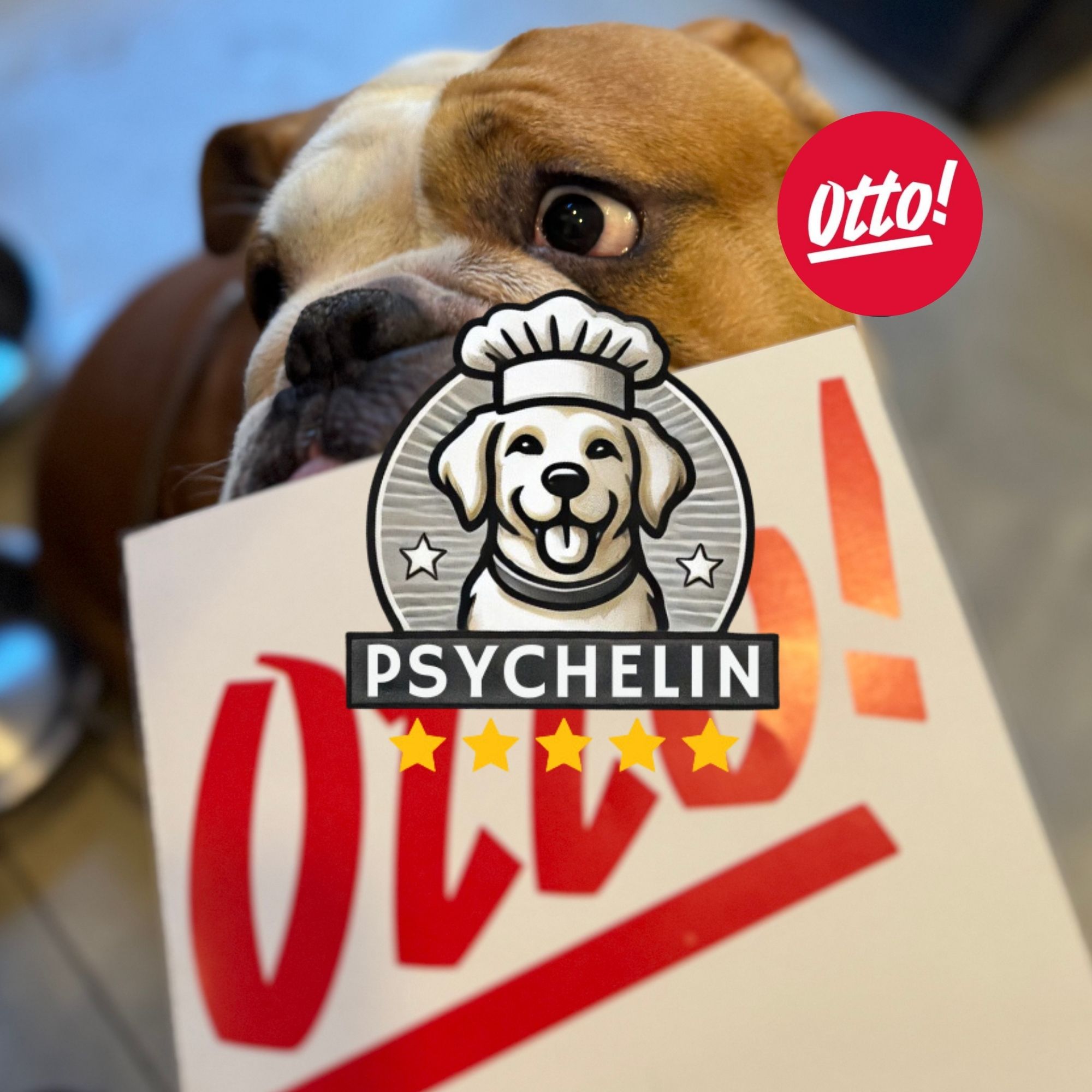 Otto: útulné dogfriendly bistro, ktoré pozná celá Bratislava