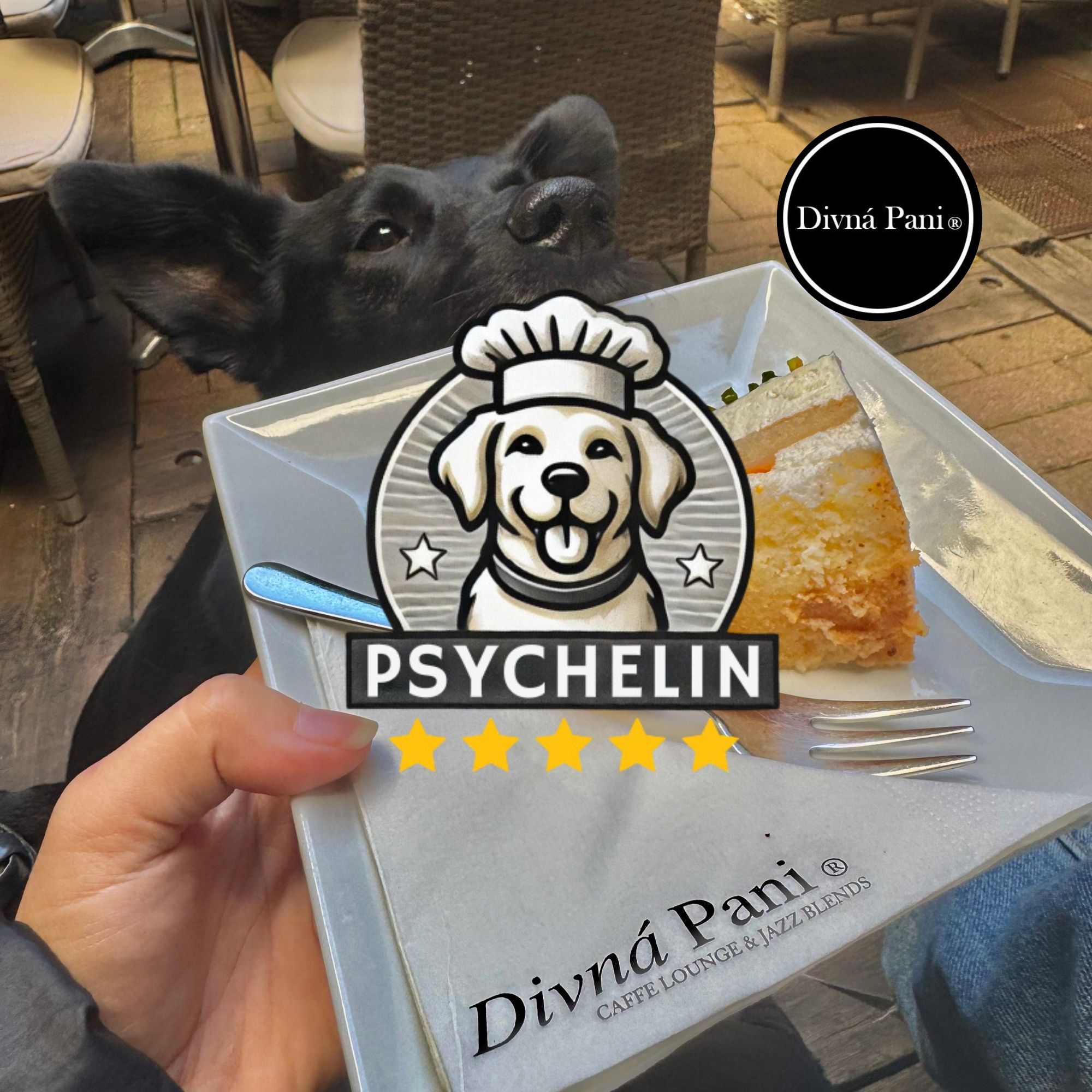 Kaviareň Divná pani v Banskej Štiavnici: dogfriendly, ale s podmienkami