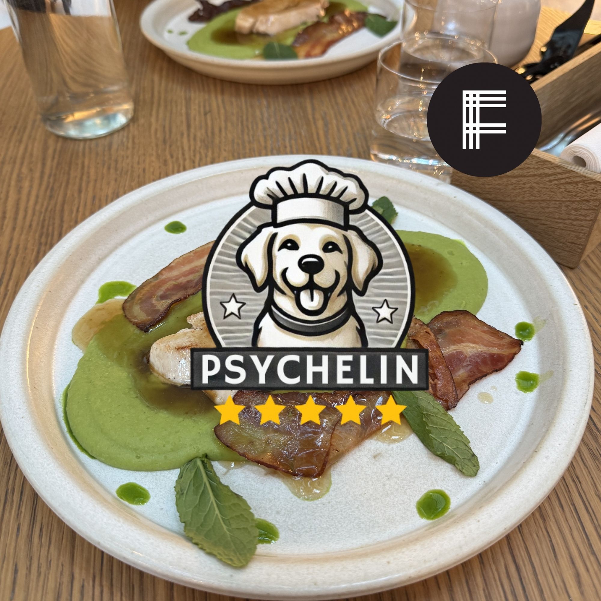 Fach: Elegantné jedlo, uvoľnená atmosféra a pes pod stolom? Bratislava má svoj dogfriendly štandard