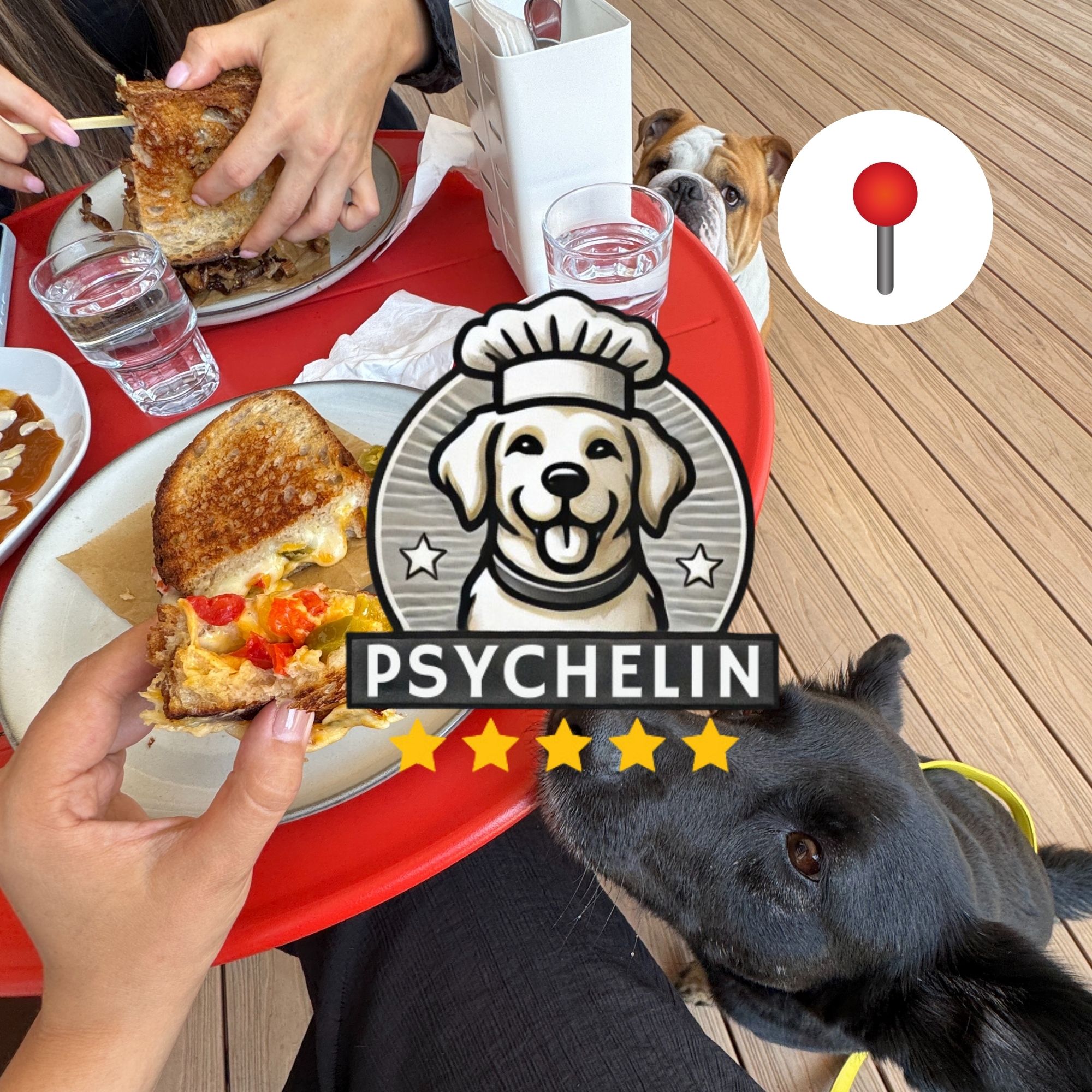 Jovipoint po druhýkrát: dogfriendly podnik v Bratislave, kam sa oplatí vrátiť