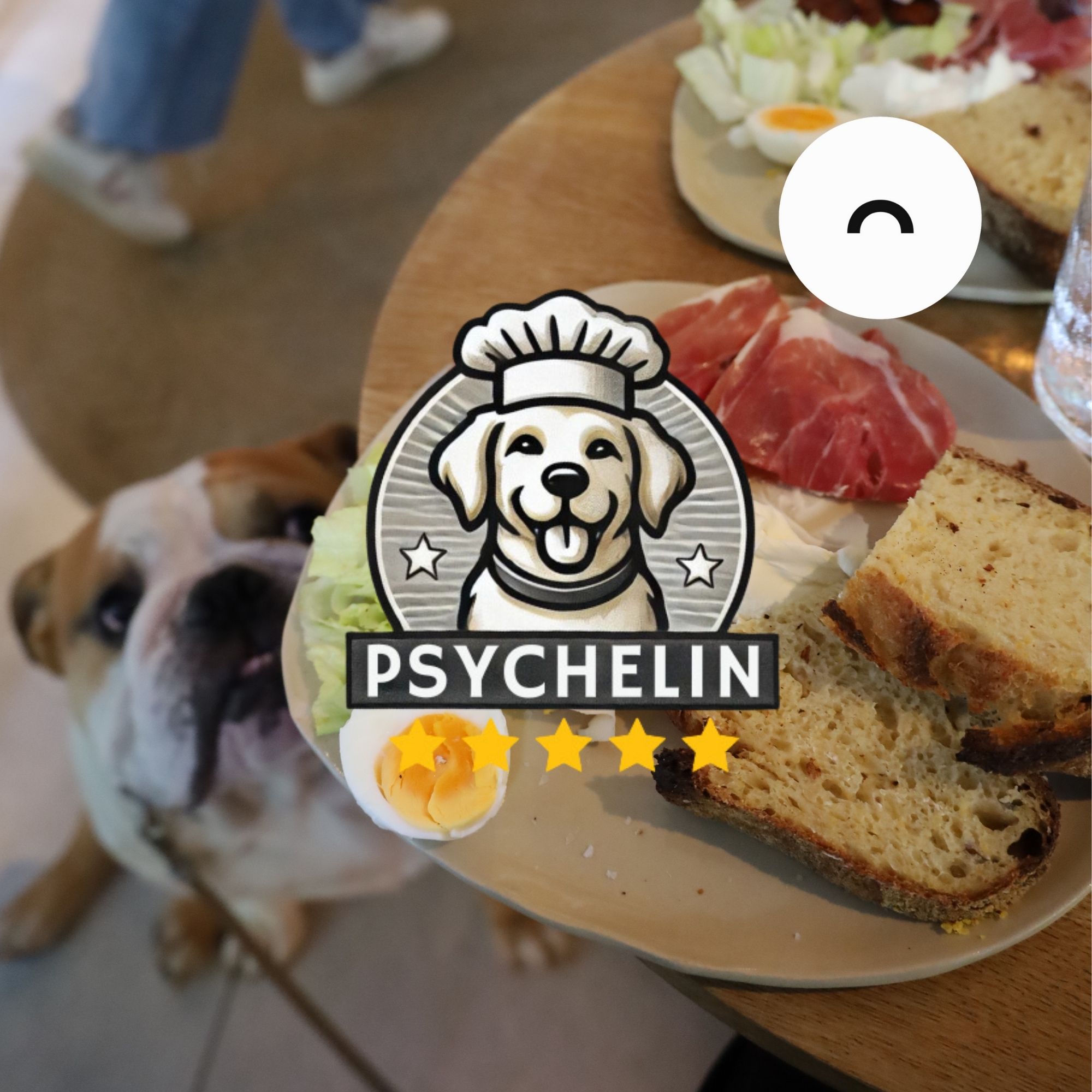 Dogfriendly kaviareň Ráno: Ideálny bratislavský spot na brunch pre psíčkarov