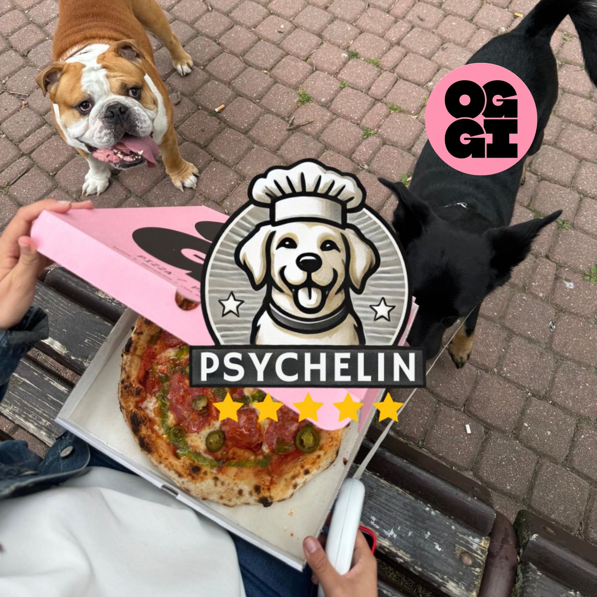 Oggi: Dogfriendly podnik s pizzou a bolognese, ktoré musíš ochutnať