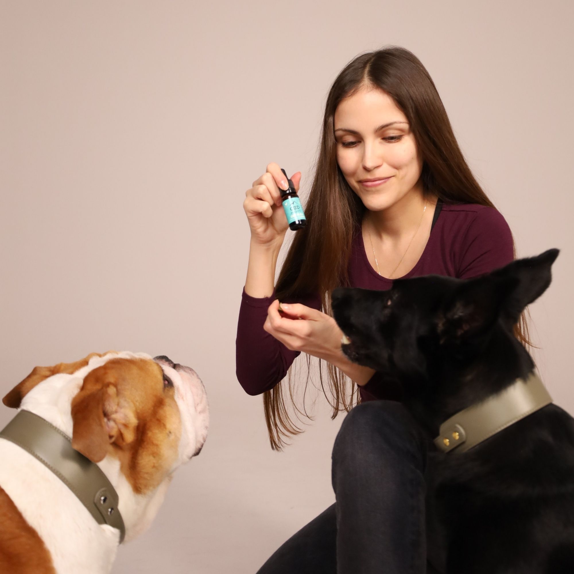 Ako pomôcť psovi zvládnuť Silvester bez stresu