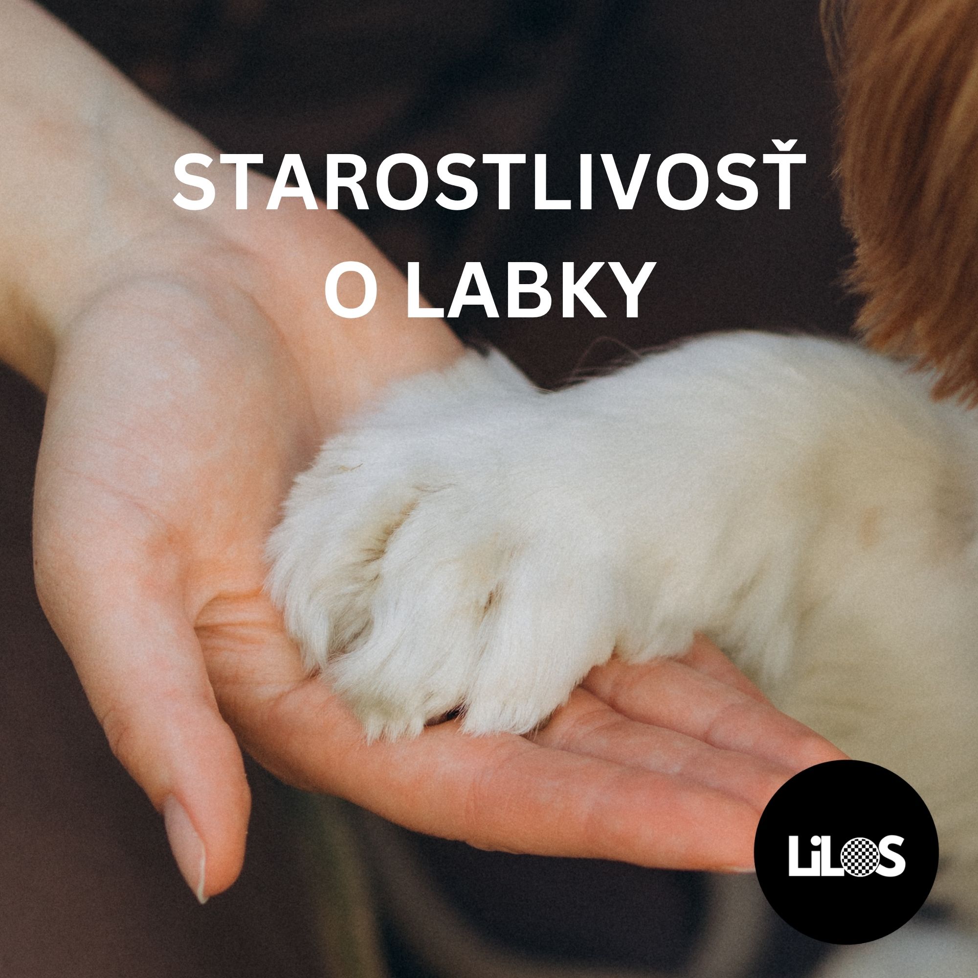 Starostlivosť o labky psov: Všetko čo potrebujete vedieť