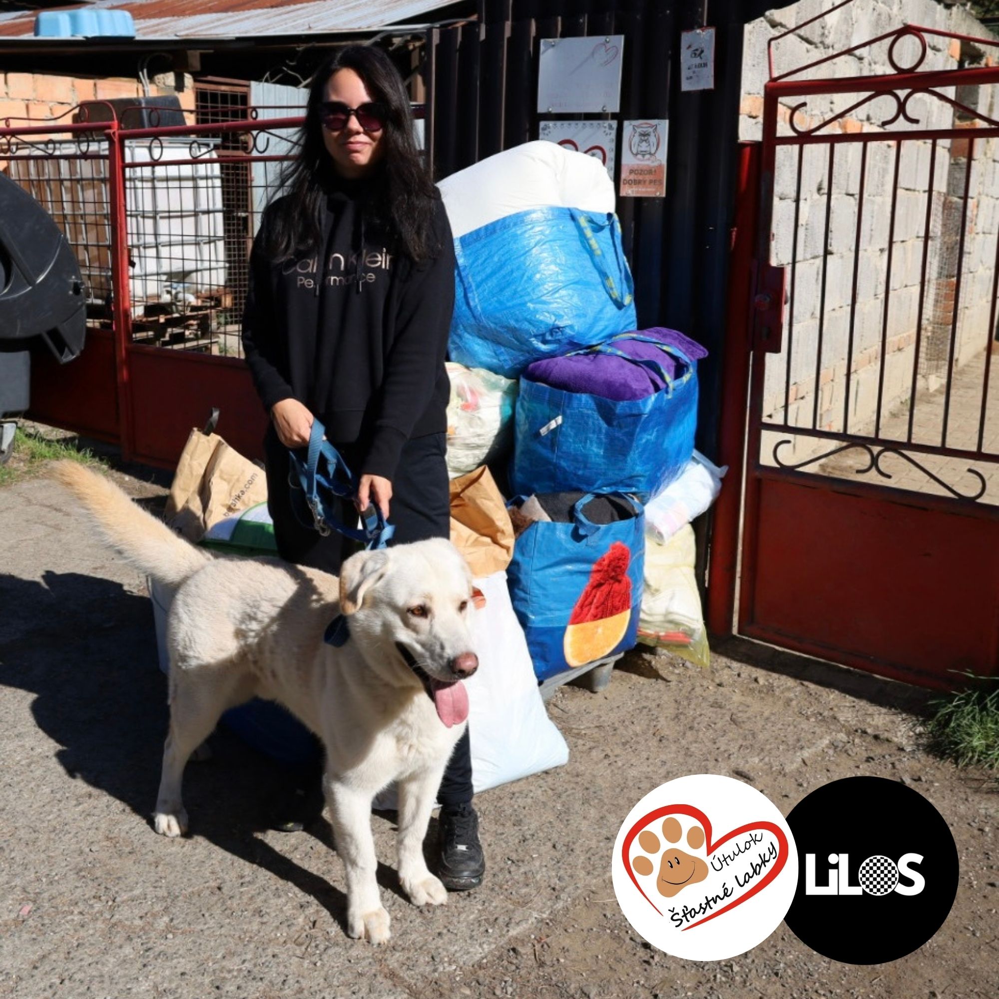 Zodpovedné podnikanie v praxi: LiLOS a SIEA podporili útulok Šťastné labky