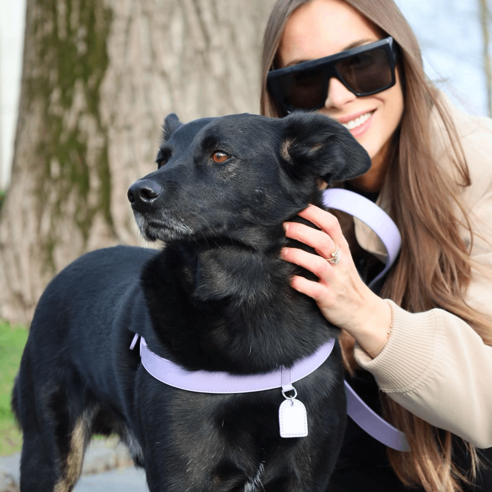 Kolekcia LUXURA - Postroj a vodítko, ktoré povýšia venčenie na nový level