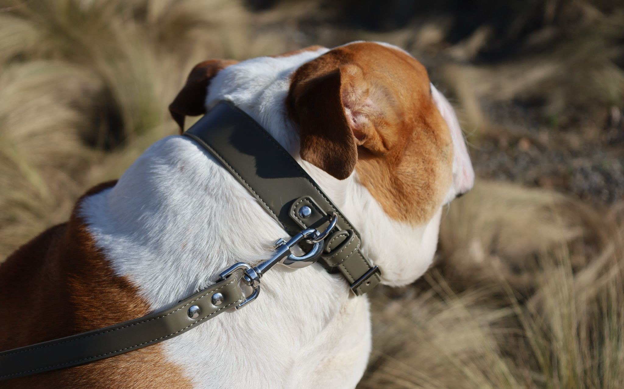 406981e1-c0b8-44c8-9c88-d9cbcc74460b