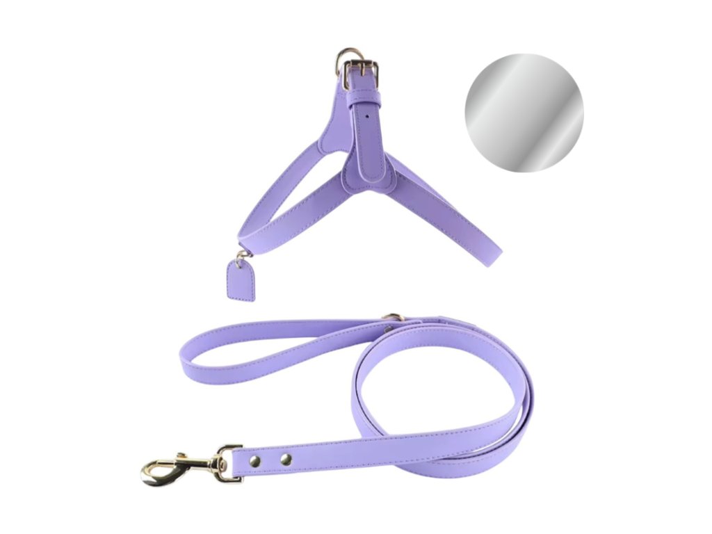 postroj pre psa so strieborným kovaním