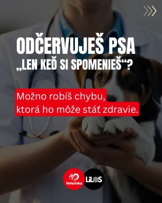 🤔Kedy si naposledy odčervoval svojho psa? ❗️Ak si nie si istý odpoveďou, tento post je pre teba. 👩‍⚕️Spolu s veterinárkou,...