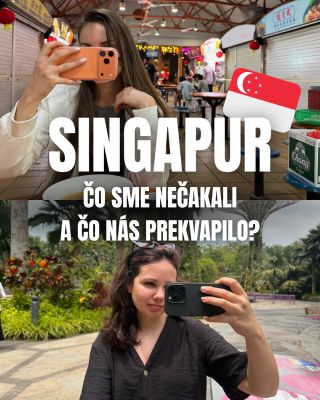 🇸🇬ČO NÁS NA SINGAPURE PREKVAPILO?😱 Prekvapilo to aj teba? Alebo si o tychto veciach už vedel? 👉 Napíš nám do komentára 💬...