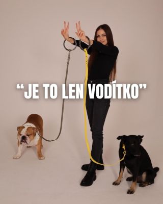 🌿Minimalistické mestské vodítko s dušou prírody ❤️ Na www.LiLOS.sk nájdeš vodítko, ktoré sme navrhli s ohľadom k prírode a...
