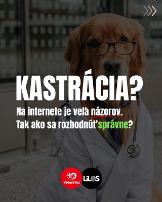 🐶 Kastrácia patrí medzi rozhodnutia, pri ktorých má názor skoro každý. Rodina, známi, internet... a zrazu nevieš, čo je...