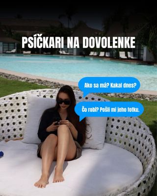 🤷🏻‍♀️Každý psíčkar na dovolenke toto pozná😂 #lilos #vtipy #psickari #leto #zivotsopsom