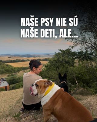 🐶Naše psy nie sú naše deti… vlastne sú😍 #lilos #psickari #psialaska #zivotsopsom
