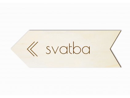 CEDSVA dvacata leta leva