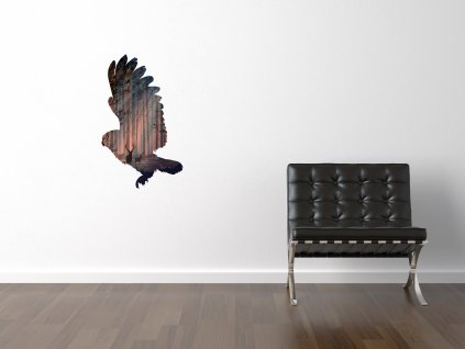 NALEP zed sova les01