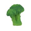 brucy the broccoli.jpg 3