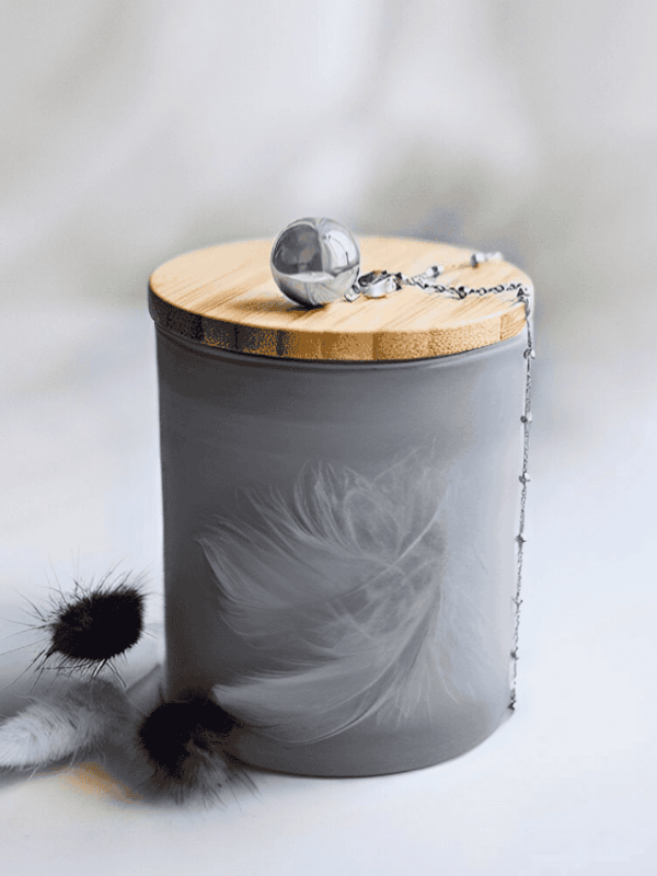 Co dělat po úmrtí domácího mazlíčka – krok za krokem