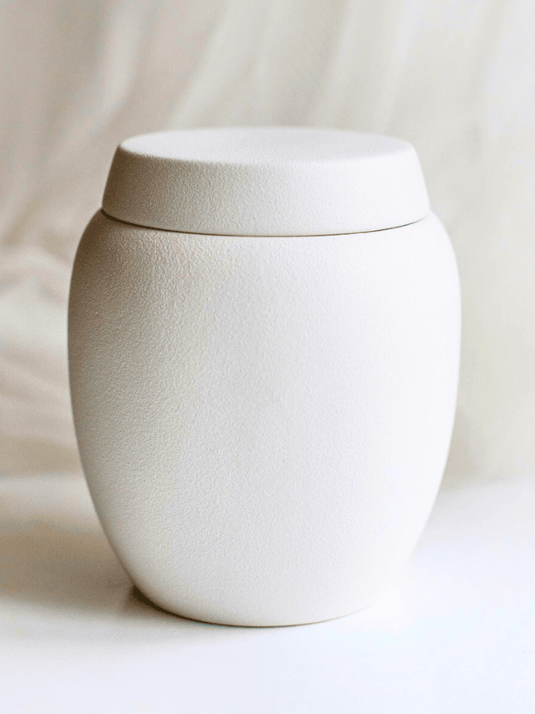 Co dělat s popelem mazlíčka? Možnosti, které dávají smysl