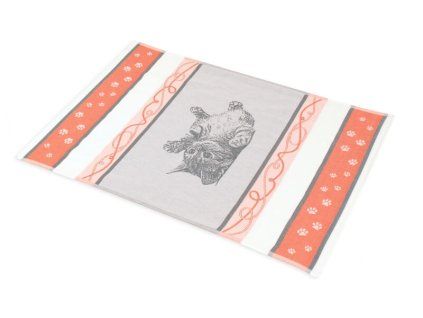 Kotě oranžové 2ks  Ideální jako dárek