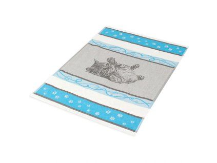 Kotě tyrkys 2ks  Ideální jako dárek