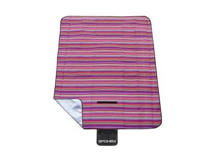 vyr 378 deka na piknik etno 02
