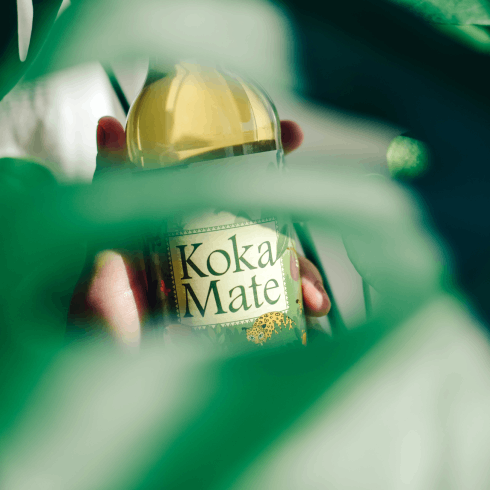 Koka Maté - limonáda s listy koky