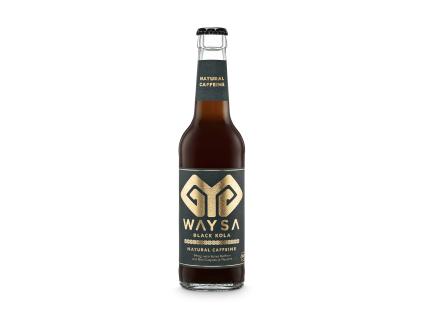 2025.07 WAYSA 330ml Black Kola Mockup