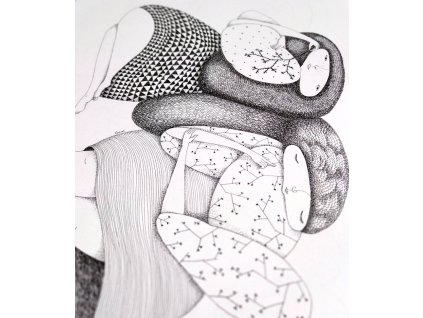 Trnečky / originál kresba