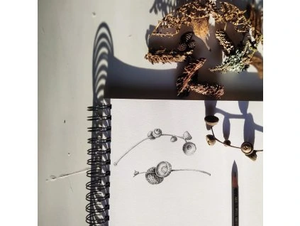 Lekce kresby 1:1 / 50 minut