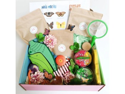 3442 1 3442 1 3442 1 velky smyslobox motyl (1)
